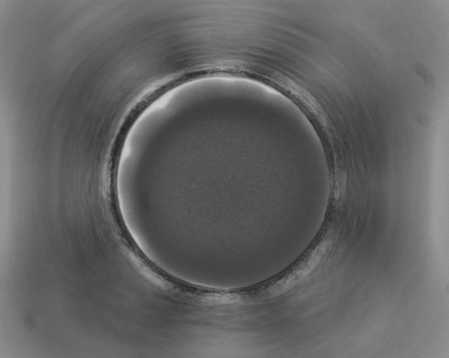 X0000112821037200910021157