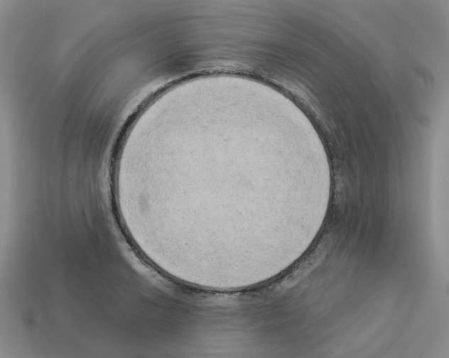 X0000112821038200910021157