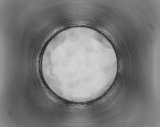 X0000112821039200910021157