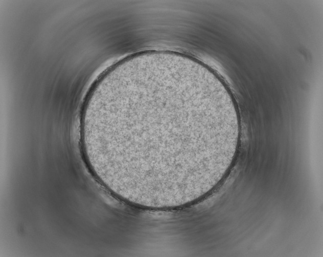 X0000112821040200910021157