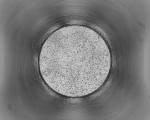 X0000112821041200910021157