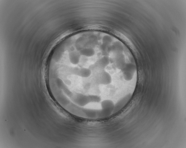 X0000112821043200910021157