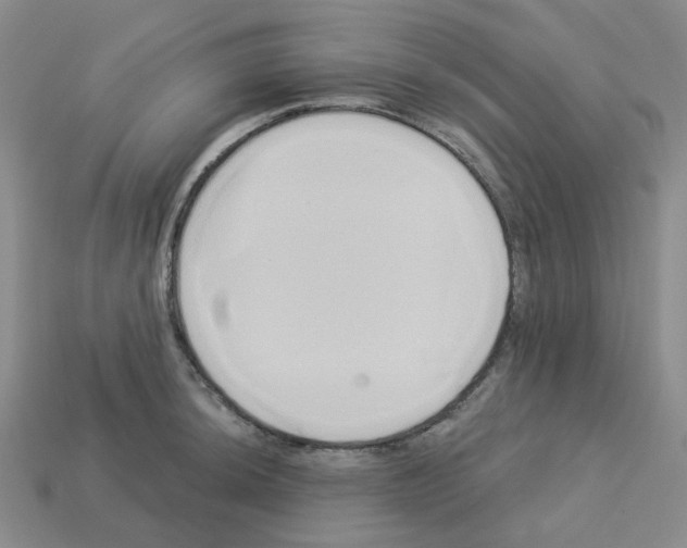 X0000112821044200910021158