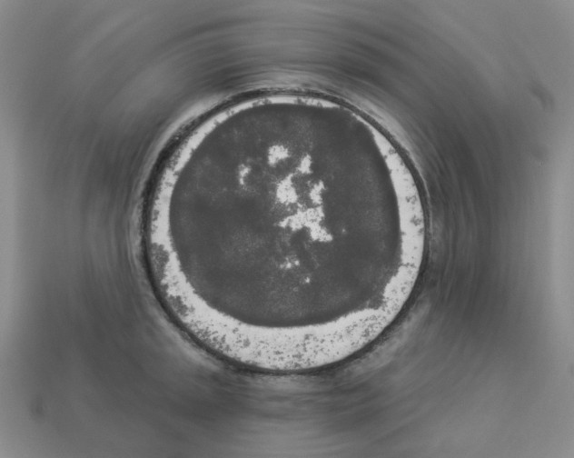 X0000112821045200910021158