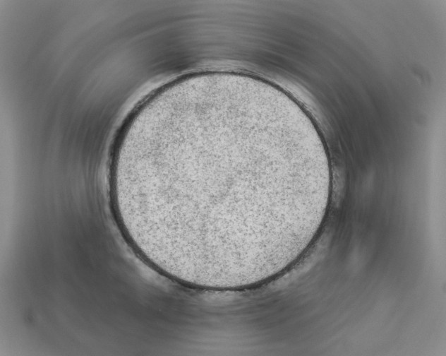 X0000112821046200910021158