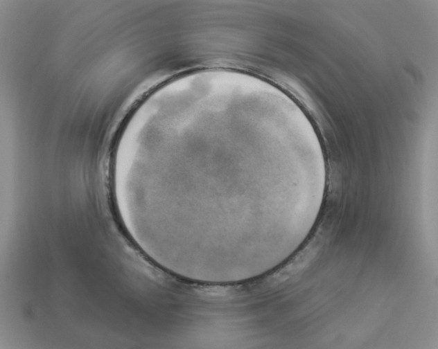 X0000112821048200910021158