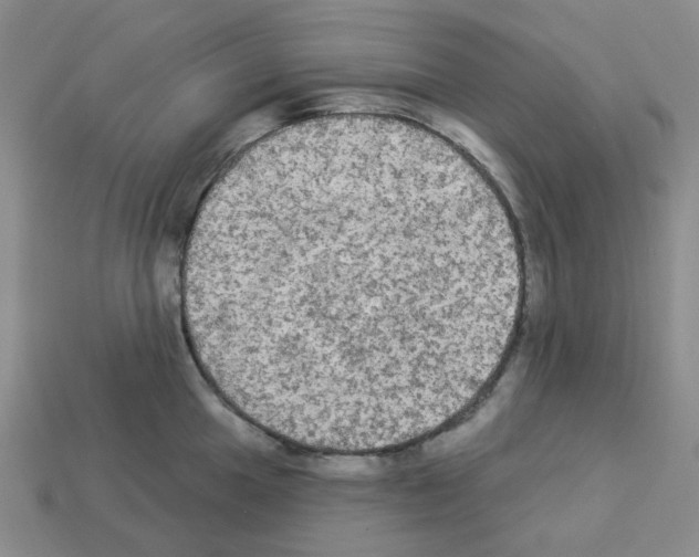 X0000112821049200910021158