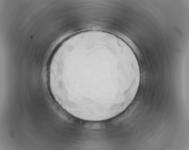 X0000112821051200910021158