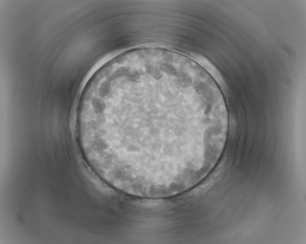 X0000112821052200910021158