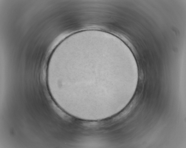 X0000112821054200910021158