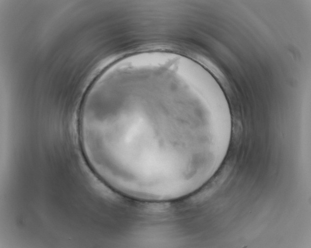 X0000112821055200910021158