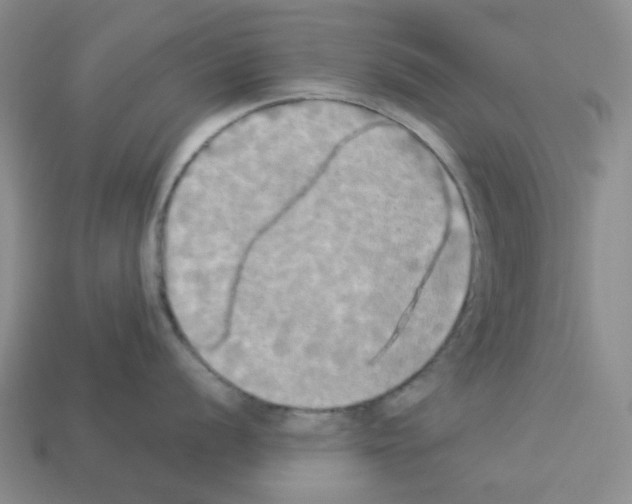 X0000112821056200910021158