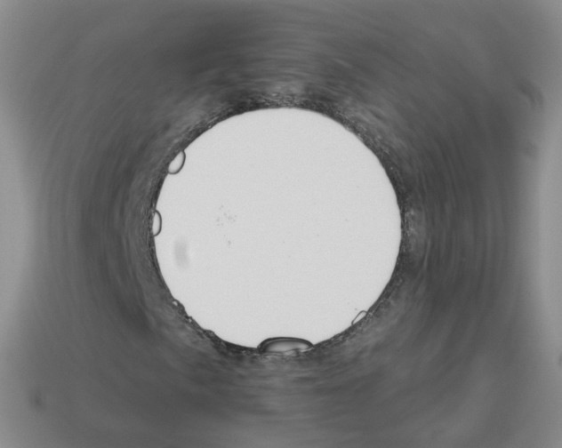 X0000112821057200910021157