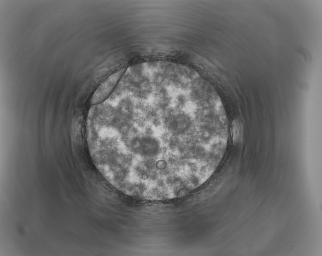 X0000112821059200910021157