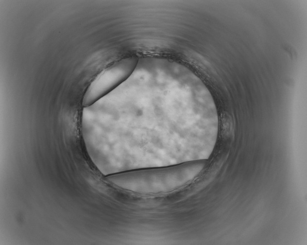 X0000112821060200910021157