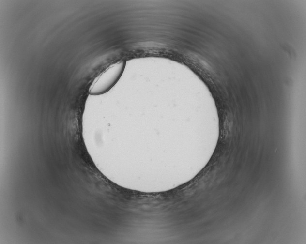 X0000112821062200910021157