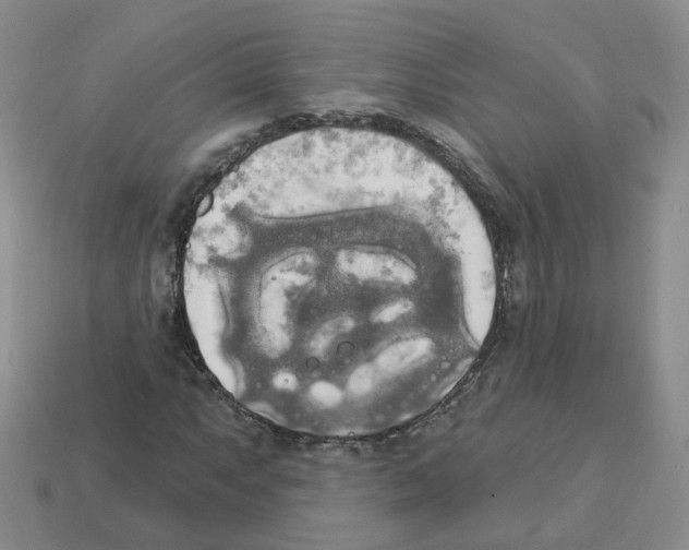 X0000112821063200910021157