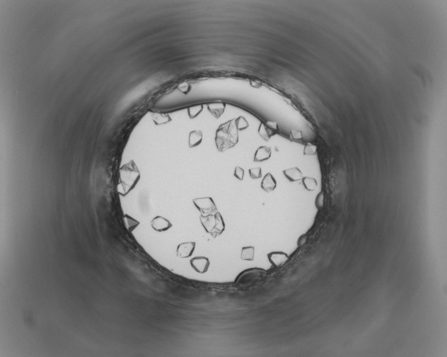 X0000112821064200910021157