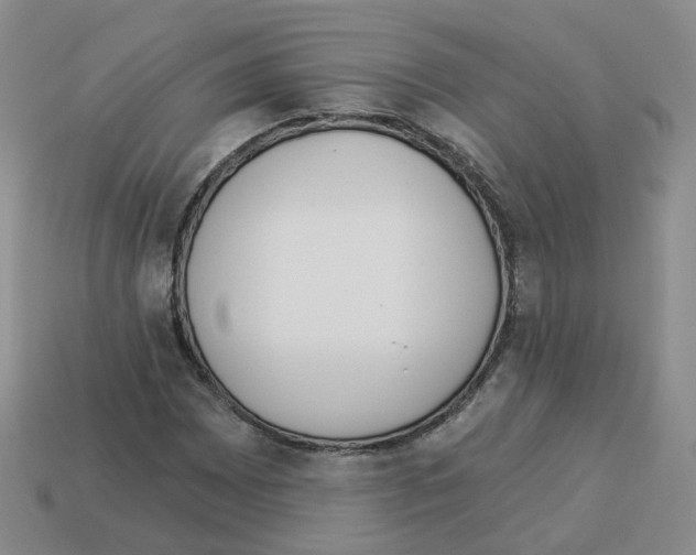 X0000112821065200910021157