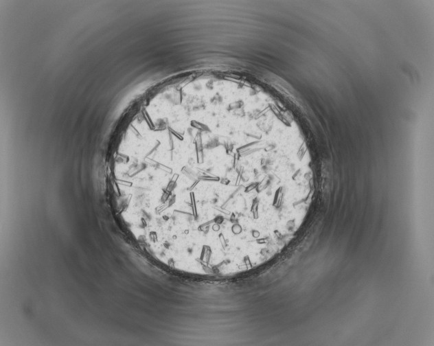 X0000112821067200910021157