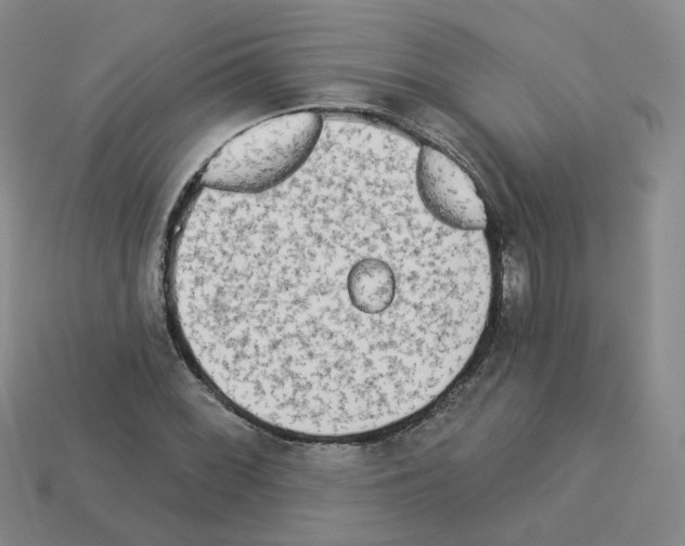 X0000112821068200910021157