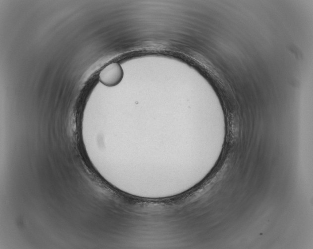 X0000112821070200910021157