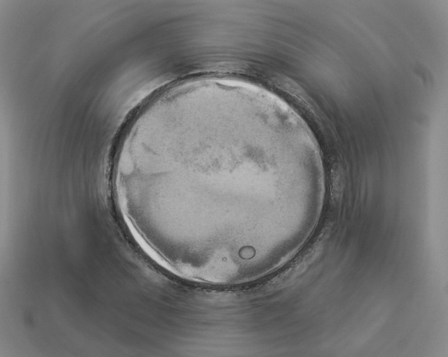 X0000112821071200910021157