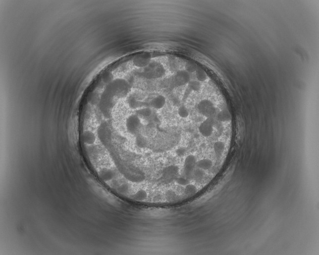 X0000112821075200910021157