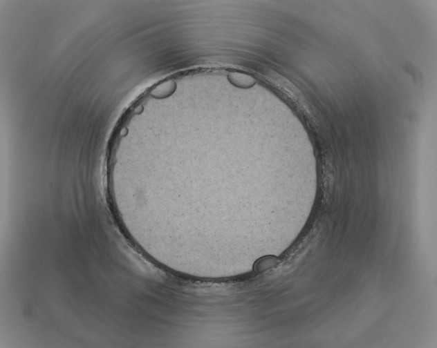 X0000112821076200910021157