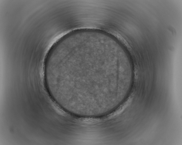 X0000112821077200910021157