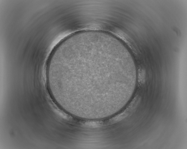 X0000112821078200910021157