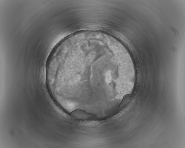 X0000112821079200910021157