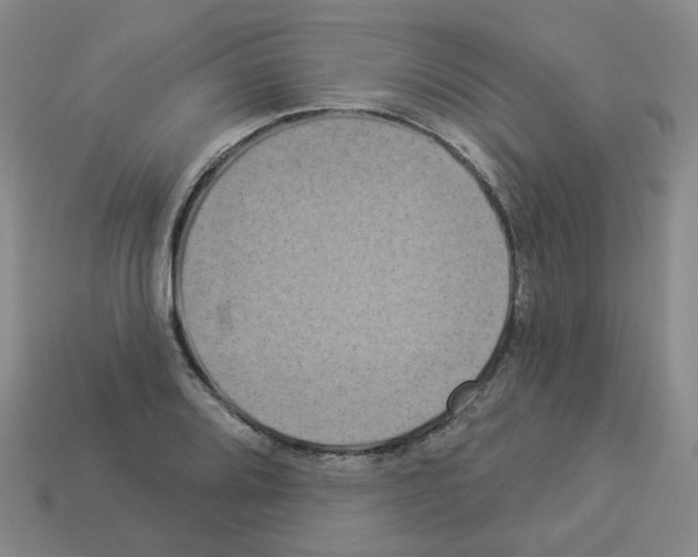 X0000112821080200910021157