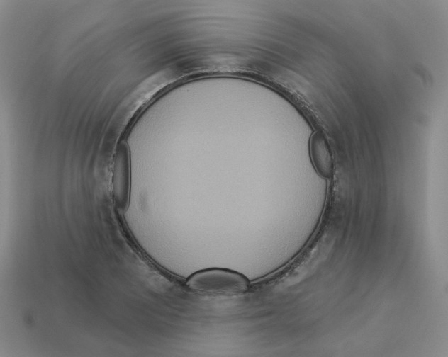 X0000112821081200910021157