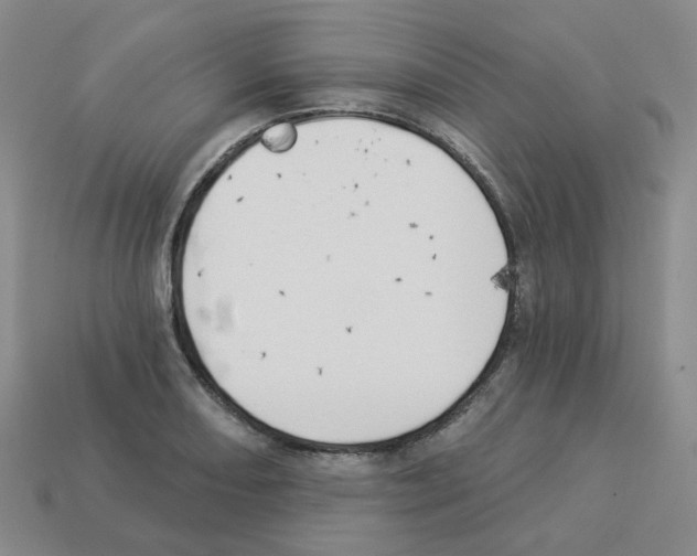 X0000112821082200910021157