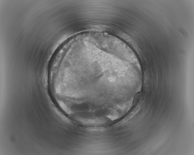 X0000112821083200910021157