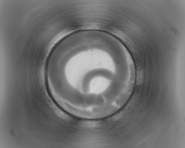 X0000112821086200910021157