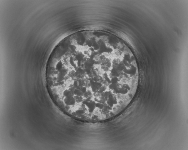 X0000112821087200910021157