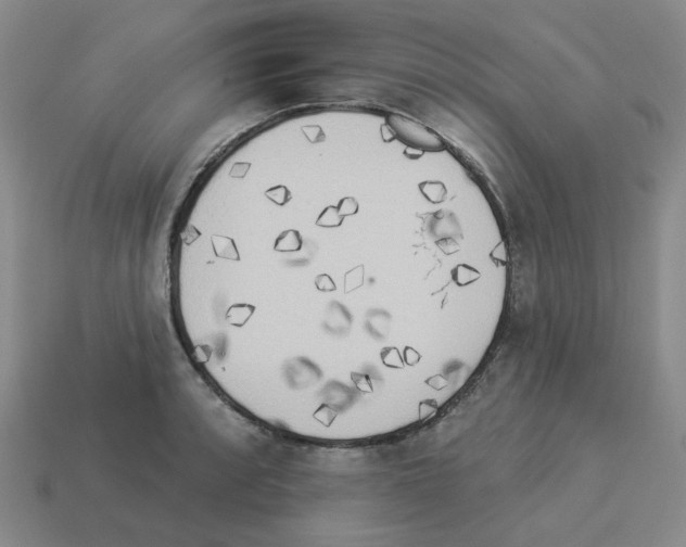 X0000112821088200910021157