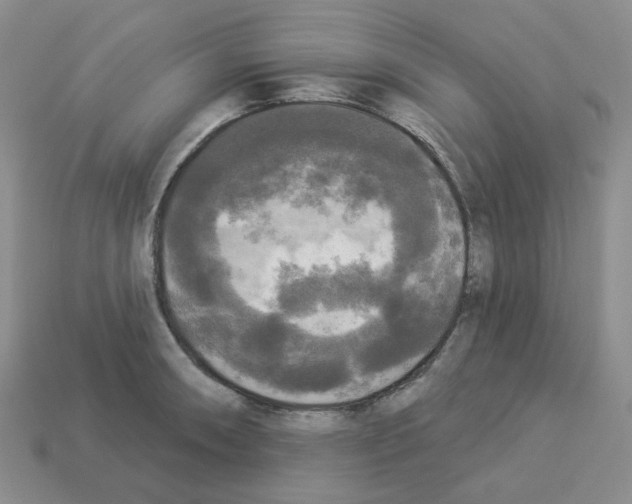 X0000112821090200910021157