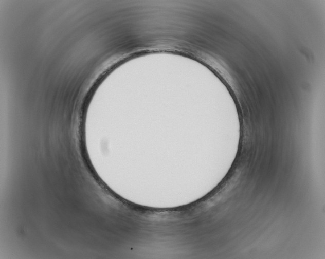 X0000112821093200910021156