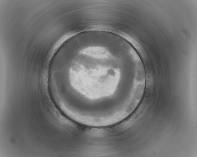 X0000112821094200910021156