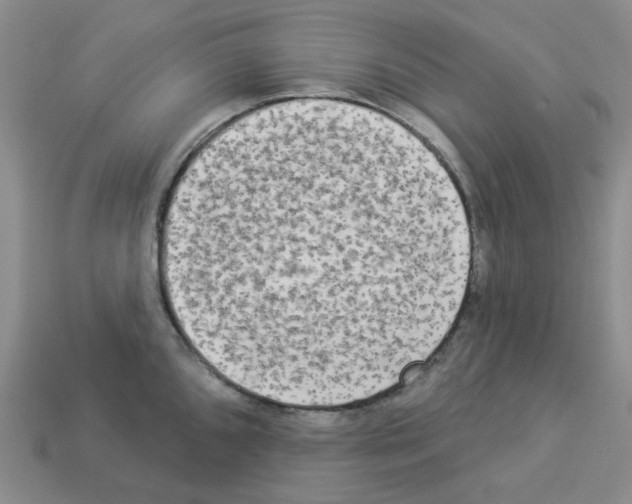 X0000112821096200910021156