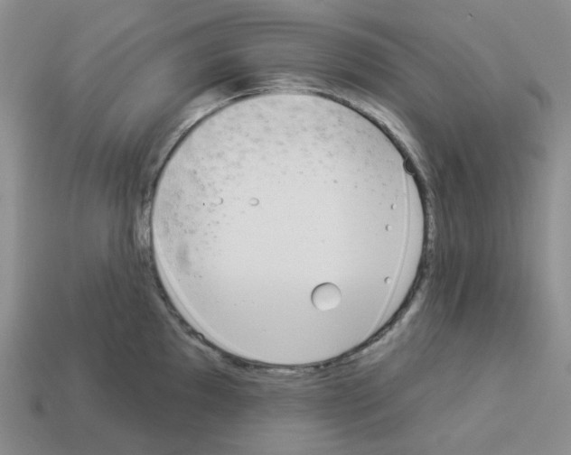 X0000112821097200910021156