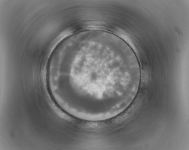 X0000112821098200910021156