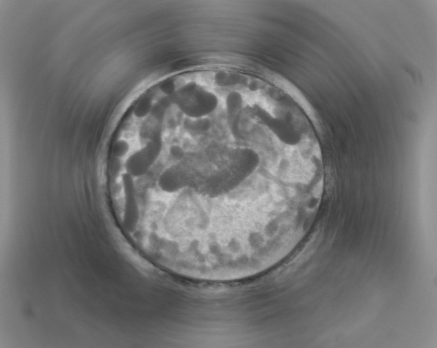 X0000112821099200910021156