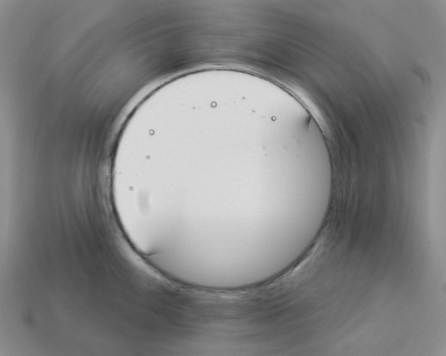 X0000112821100200910021156