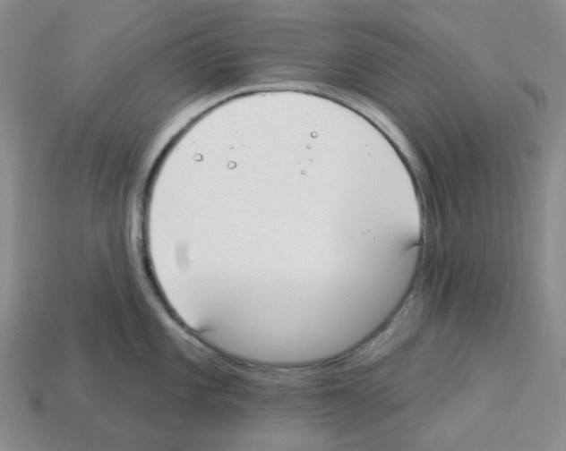 X0000112821101200910021156