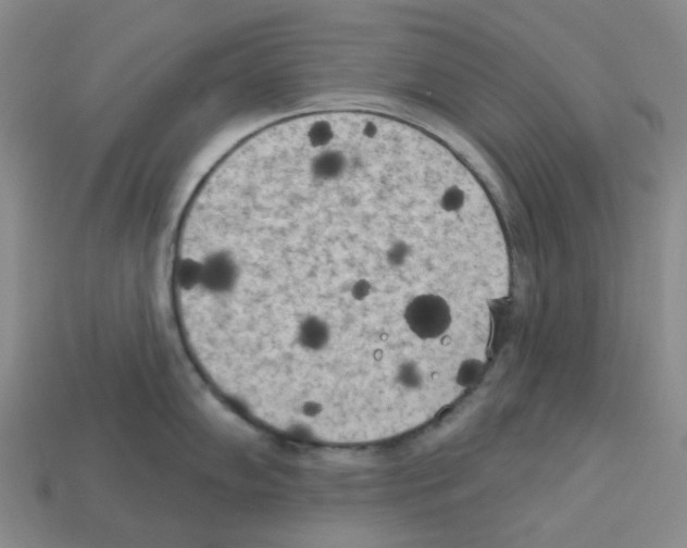 X0000112821102200910021156