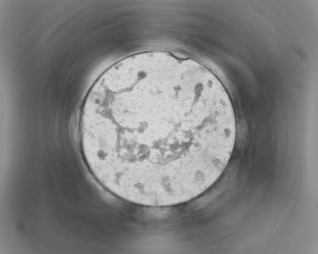 X0000112821103200910021156